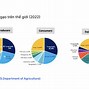 Biểu Đồ Giá Gạo 2023