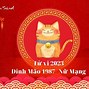 Tử Vi Tuổi Mão 1987 Năm 2023 Nam Mạng